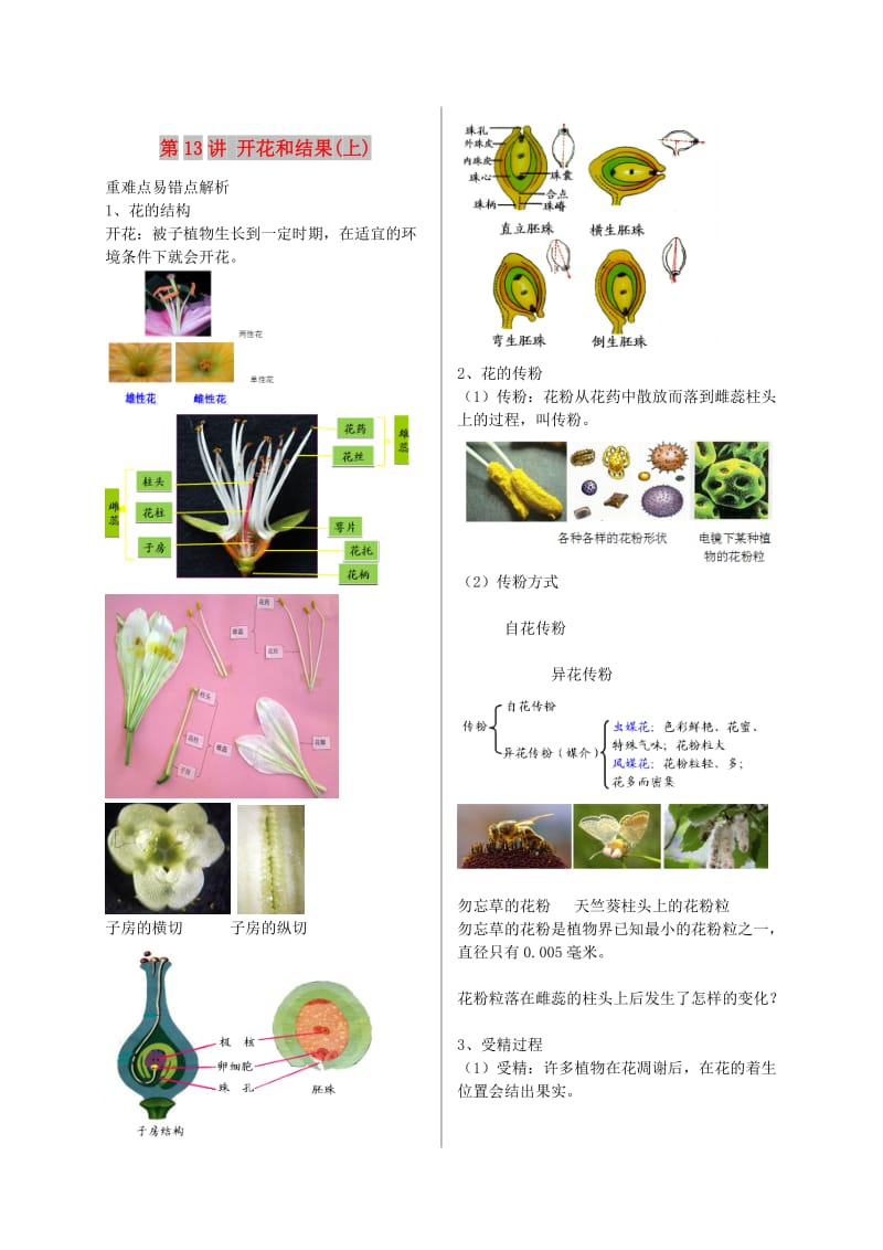 江苏省大丰市七年级生物上册 第13讲 开花和结果讲义 苏教版.doc_第1页