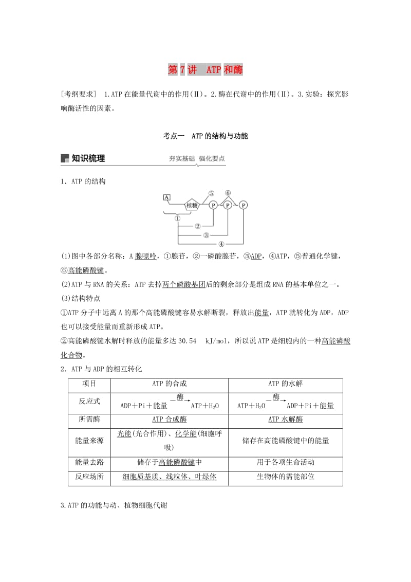 （人教通用）2020版高考生物大一轮复习 第三单元 细胞的能量供应和利用 第7讲 ATP和酶讲义.docx_第1页