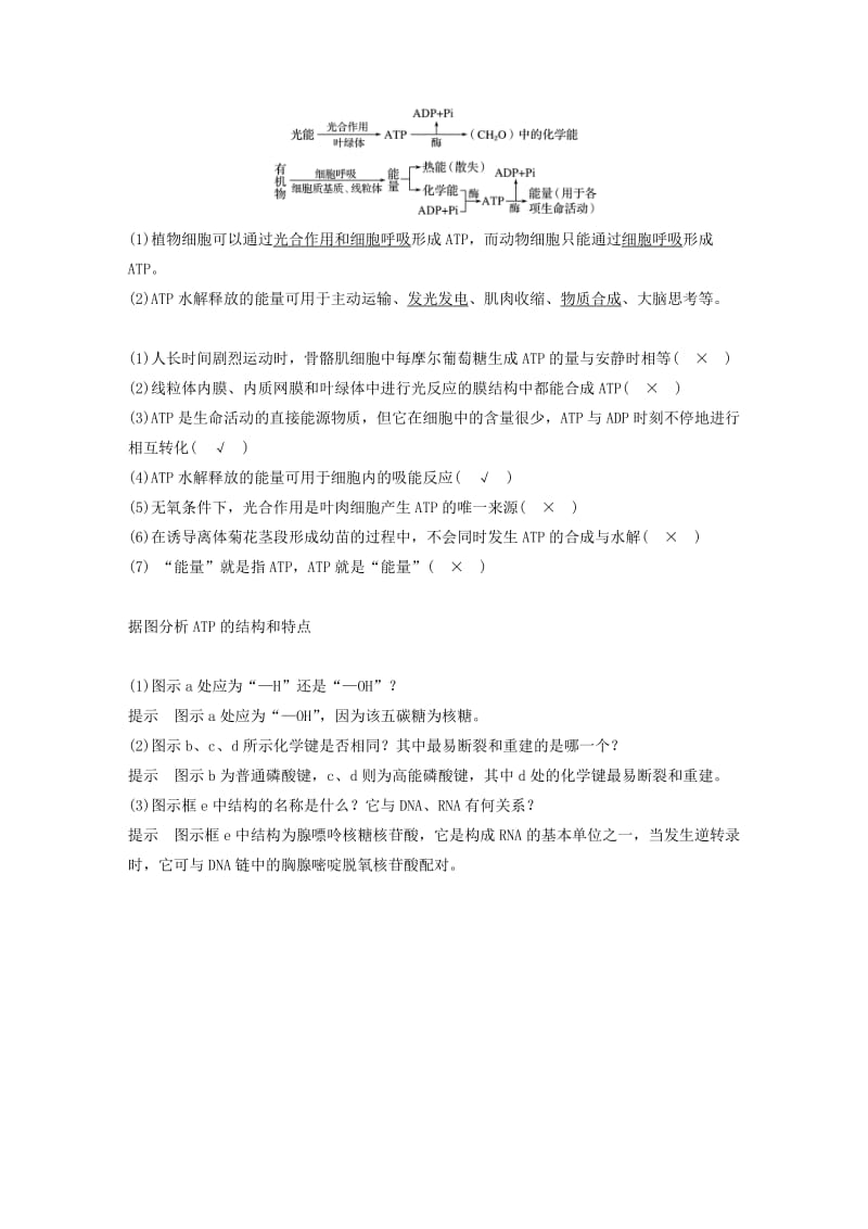 （人教通用）2020版高考生物大一轮复习 第三单元 细胞的能量供应和利用 第7讲 ATP和酶讲义.docx_第2页