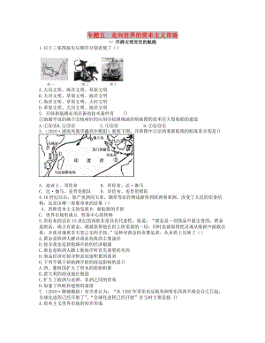 2018高中歷史 專題五 走向世界的資本主義市場同步測評 人民版必修2.doc