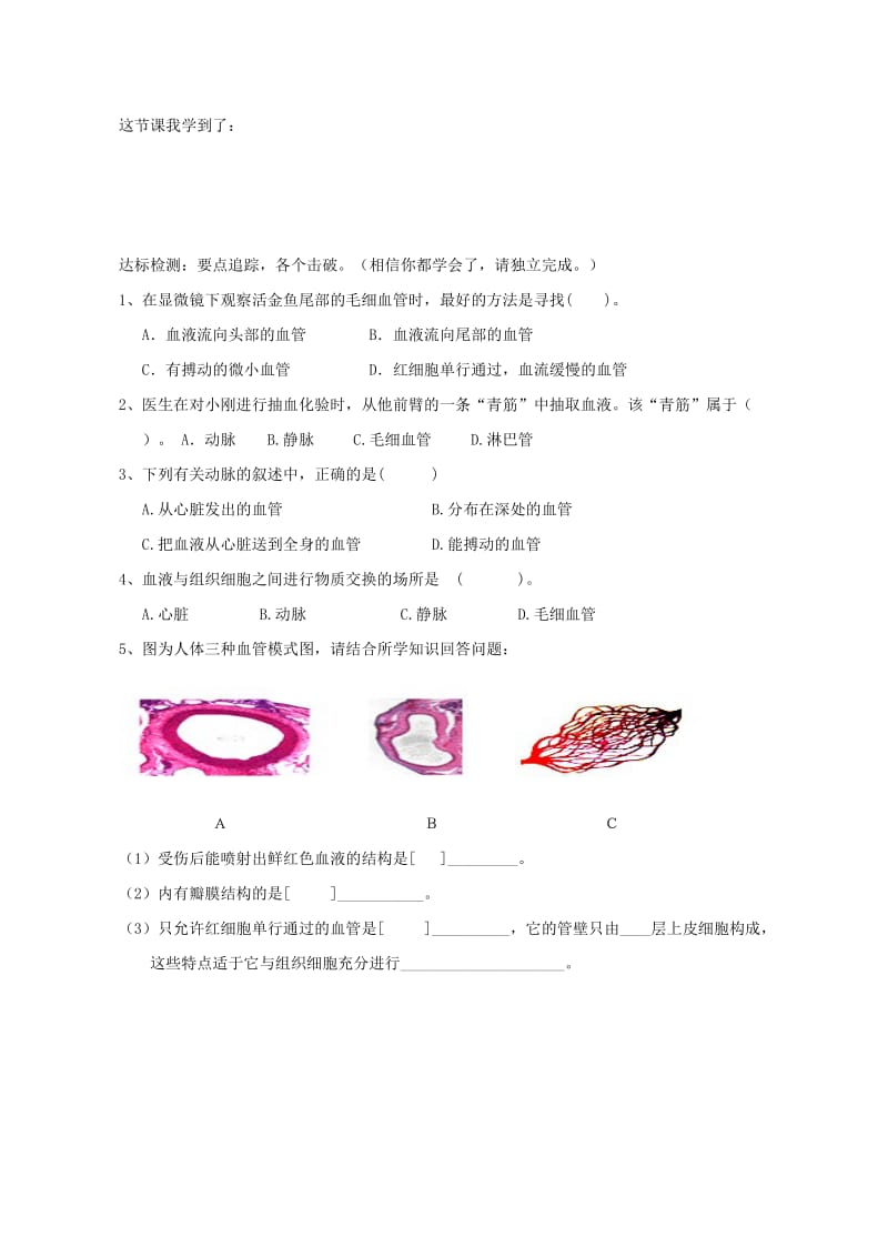 七年级生物上册 4.4.2物质运输的管道评测练习 鲁科版五四制.doc_第2页