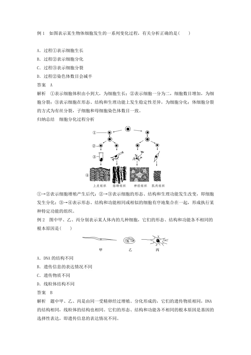 全国通用版2018-2019版高中生物第六章细胞的生命历程第2节细胞的分化学案新人教版必修1 .doc_第2页