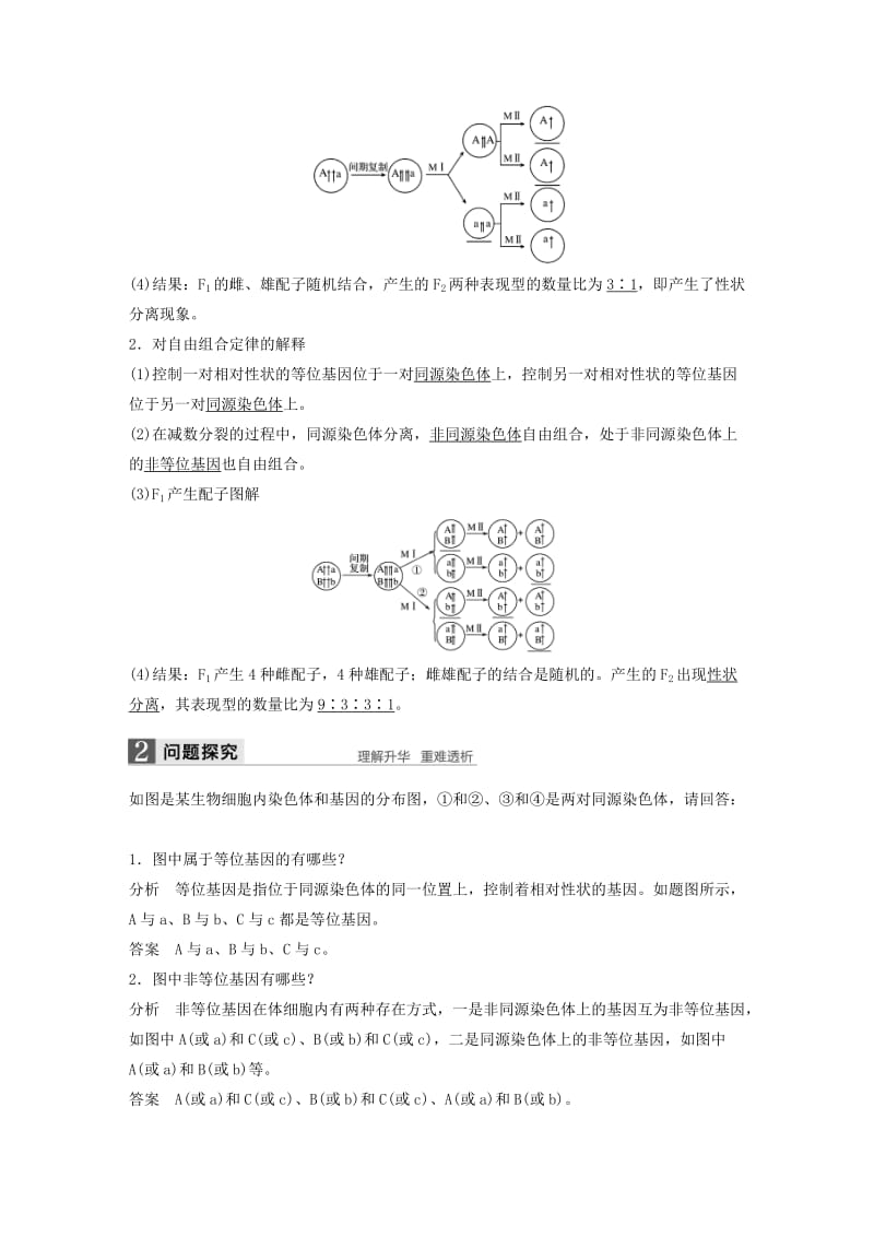 2019-2020年高中生物第二章染色体与遗传第二节遗传的染色体学说教学案浙科版必修2.doc_第3页