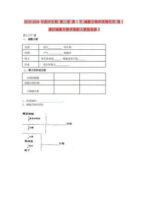 2019-2020年高中生物 第二章 第1節(jié) 減數(shù)分裂和受精作用 第1課時減數(shù)分裂學(xué)案新人教版選修2.doc