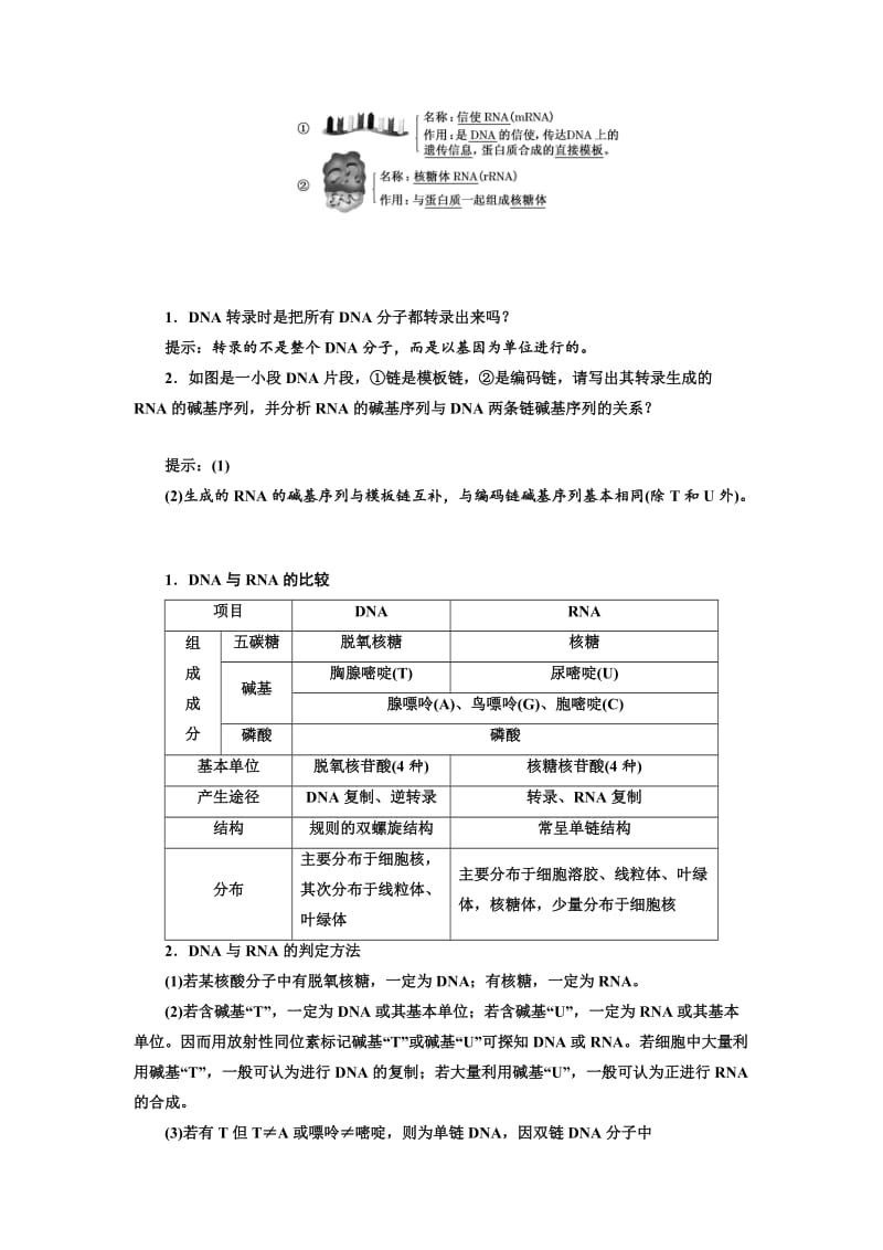 2019-2020年高中生物浙科版必修2教学案：第三章 第四节 遗传信息的表达——RNA和蛋白质的合成(含答案).doc_第3页