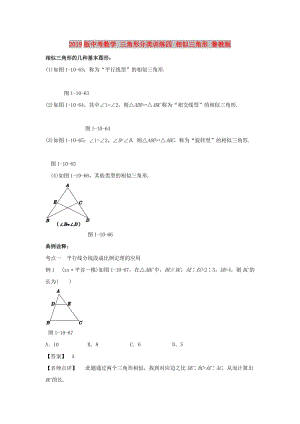 2019版中考數(shù)學(xué) 三角形分類(lèi)訓(xùn)練四 相似三角形 魯教版.doc