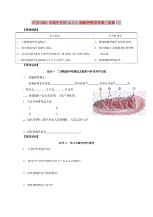 2019-2020年高中生物 4.3.1 細胞呼吸導(dǎo)學(xué)案（必修1）.doc