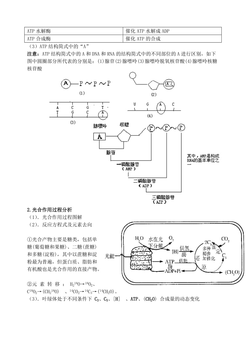 2019-2020年高三生物第二轮复习 专题二 细胞代谢预习案.doc_第3页