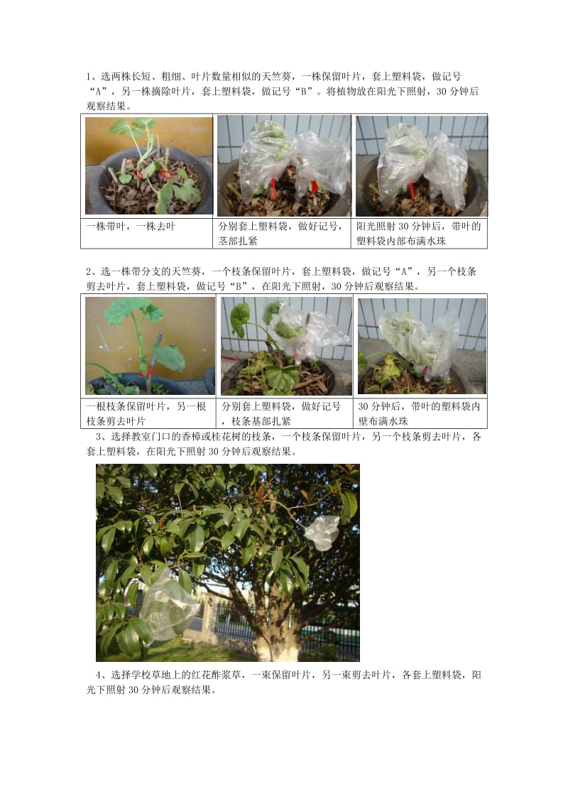 2019-2020年中考生物实验汇总复习 探究绿色植物蒸腾作用的器官是叶片吗教学设计.doc_第2页