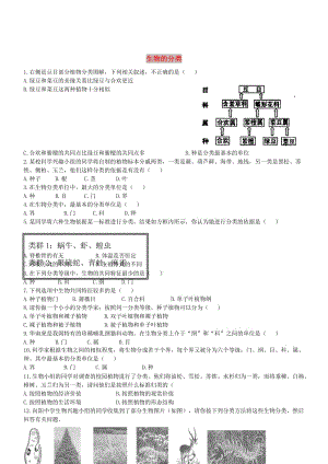 八年級生物上冊 14.4《生物的分類》練習(xí)題 （新版）蘇教版.doc