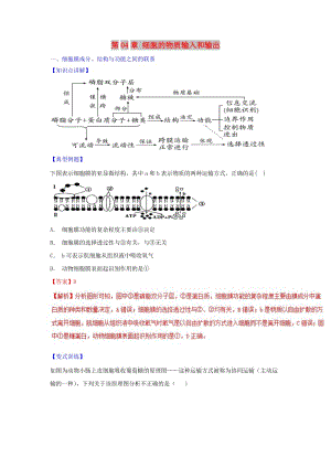 2018-2019學年高中生物 第04章 細胞的物質(zhì)輸入和輸出復習教案（提升版）新人教版必修1.doc