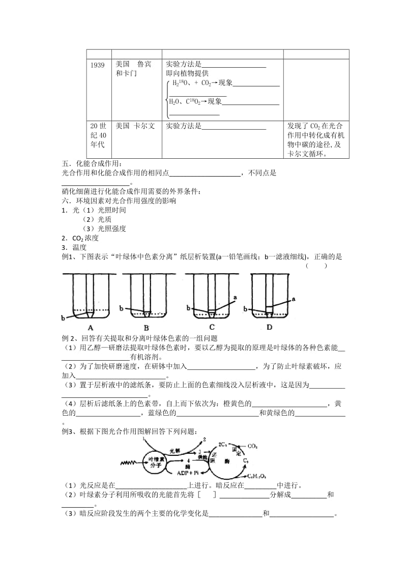 2019-2020年《光与光合作用》WORD教案.doc_第3页