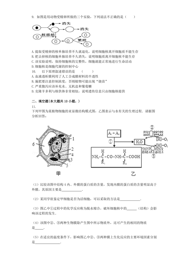 2019-2020年高三生物一轮专项复习细胞核的结构与功能综合检测.doc_第3页