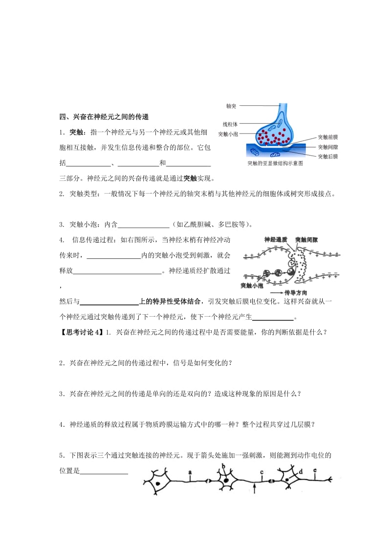 2019-2020年高中生物 第二章 生物个体的稳态 2.2 人体生命活动的调节1学案苏教版必修3.doc_第2页