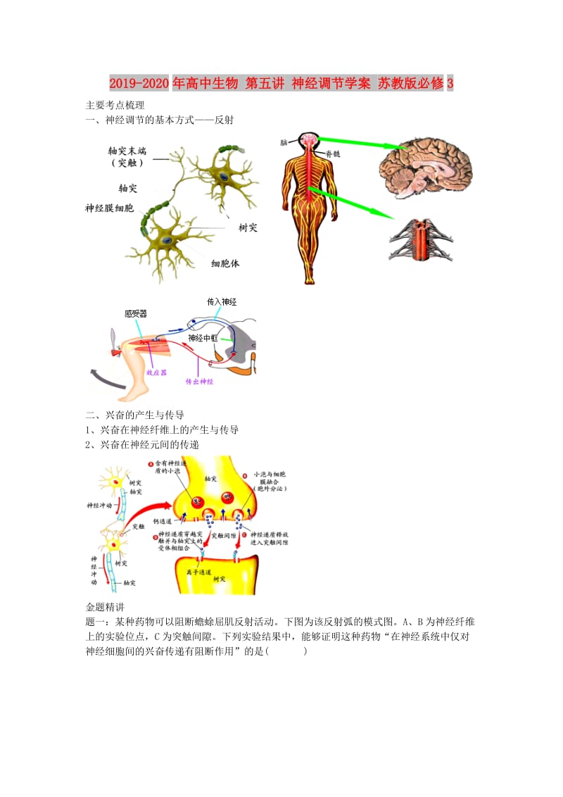 2019-2020年高中生物 第五讲 神经调节学案 苏教版必修3.doc_第1页