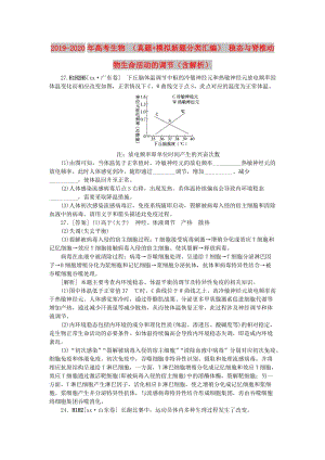 2019-2020年高考生物 （真題+模擬新題分類匯編） 穩(wěn)態(tài)與脊椎動物生命活動的調(diào)節(jié)（含解析）.doc