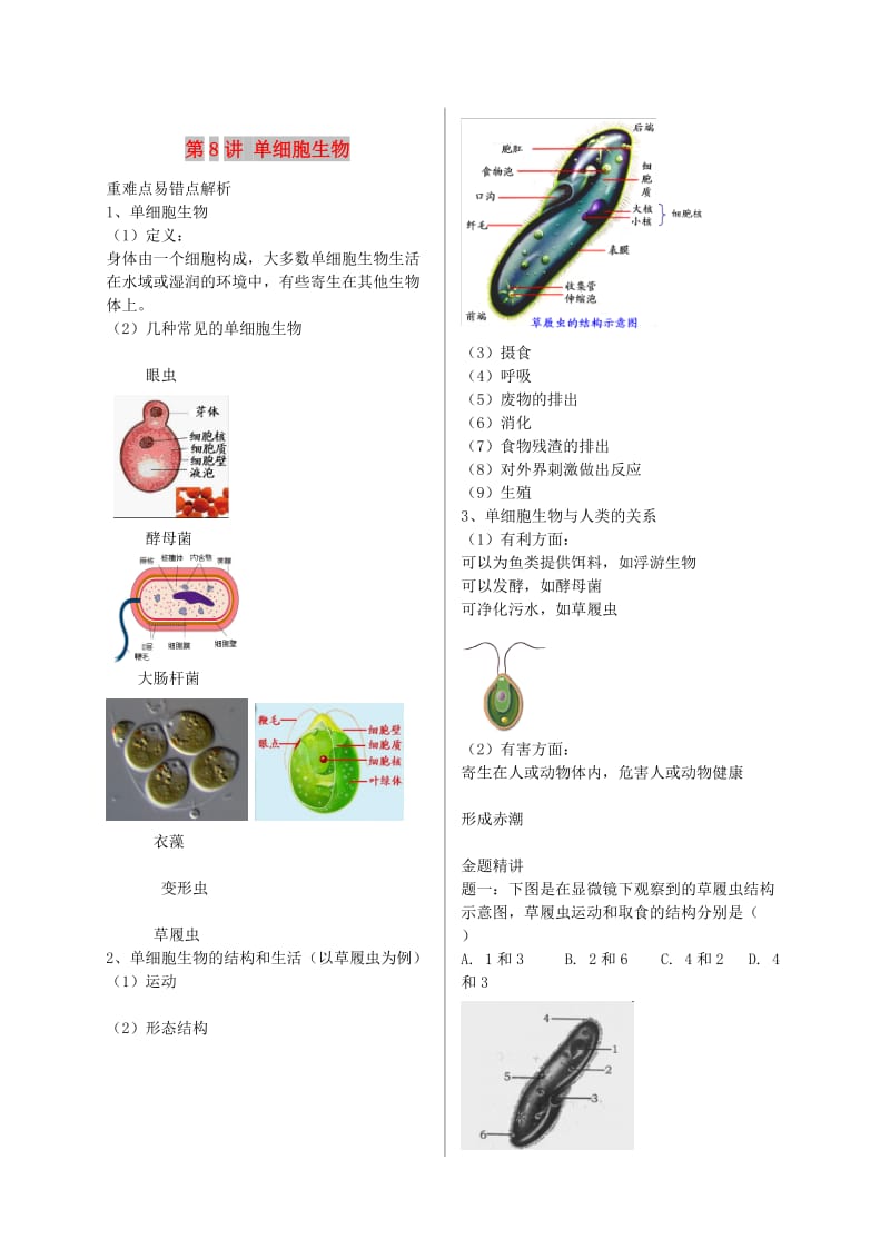 江苏省大丰市七年级生物上册 第8讲 单细胞生物讲义 苏教版.doc_第1页