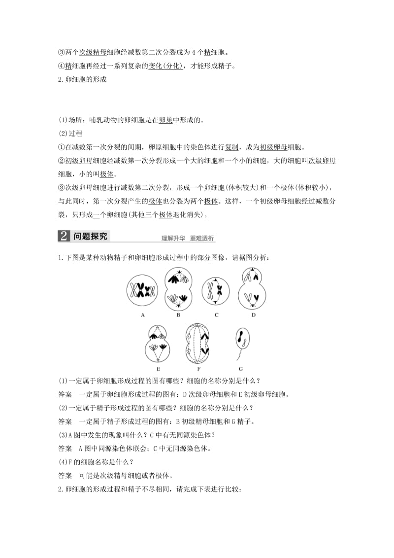 2019-2020年高中生物 第二章 减数分裂和有性生殖 第一节 减数分裂 第2课时教学案 苏教版必修2.doc_第2页