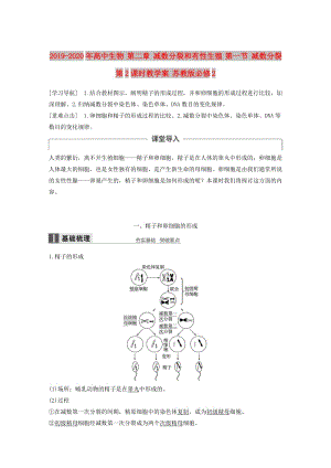 2019-2020年高中生物 第二章 減數(shù)分裂和有性生殖 第一節(jié) 減數(shù)分裂 第2課時教學(xué)案 蘇教版必修2.doc