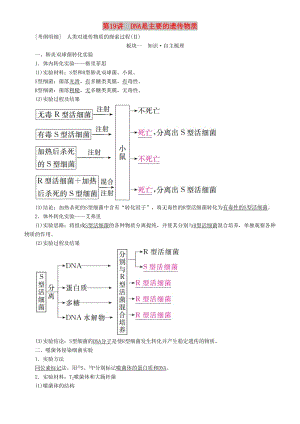 2019高考生物一輪復(fù)習(xí) 第19講 DNA是主要的遺傳物質(zhì)講練結(jié)合學(xué)案.doc