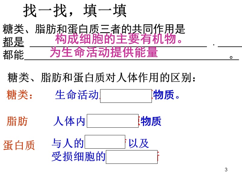 消化与吸收复习ppt课件_第3页