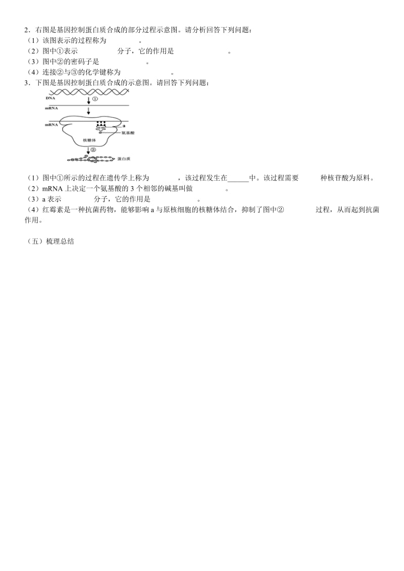 2019-2020年高二生物 第三章 2-3-4遗传信息的表达2导学案.doc_第2页