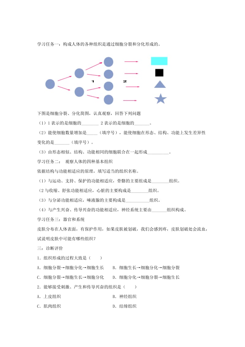 七年级生物上册 2.2.2《动物体的结构层次》导学案2（新版）新人教版.doc_第2页