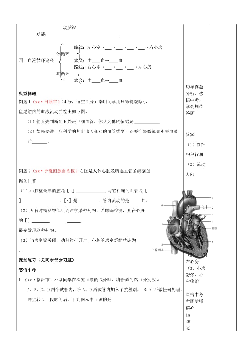 2019-2020年中考生物《人体内物质的运输》复习教案 新人教版.doc_第2页