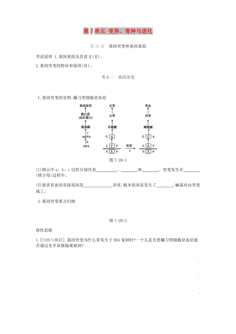 2019屆高考生物一輪復(fù)習(xí) 第7單元 變異、育種與進化聽課學(xué)案.doc