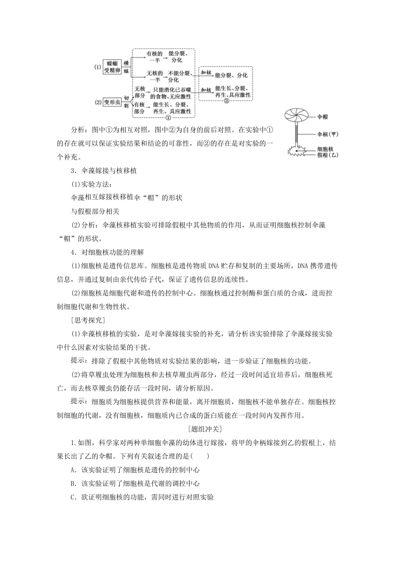 2018-2019学年高中生物 第3章 第3节 细胞核——系统的控制中心教学案（含解析）新人教版必修1.doc_第3页