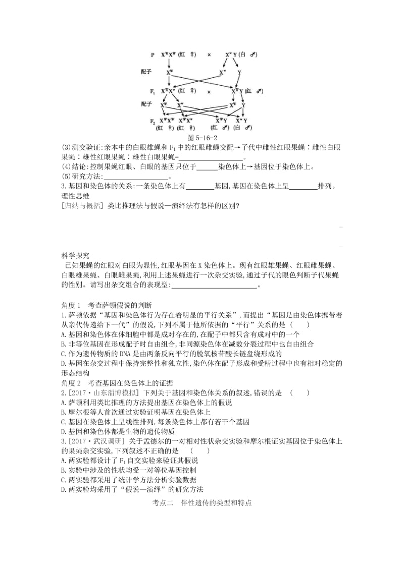 2019版高考生物一轮复习 第5单元 遗传的基本规律和遗传的细胞基础 第16讲 伴性遗传和人类遗传病学案 苏教版.doc_第2页