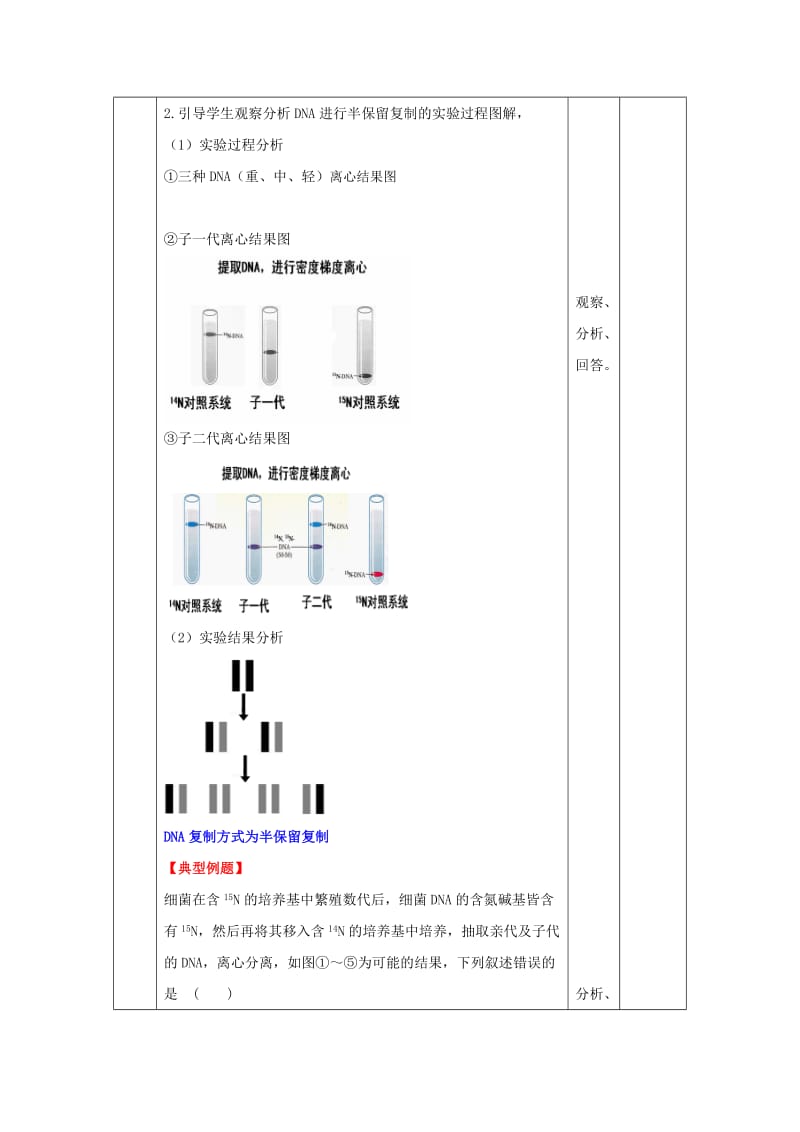 2019-2020年人教版高中生物 必修2第3章第3节DNA复制（教案）.doc_第3页