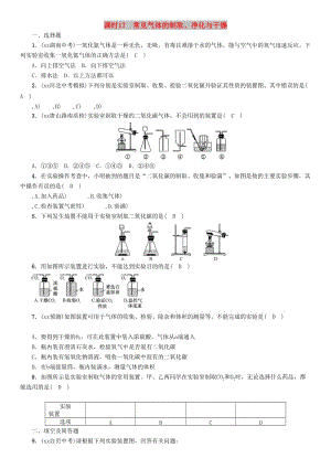 中考化學(xué)復(fù)習(xí) 第一編 教材知識梳理篇 模塊五 科學(xué)探究 課時17 常見氣體的制取、凈化與干燥練習(xí).doc