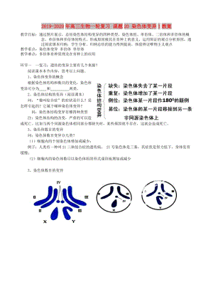 2019-2020年高三生物一輪復(fù)習(xí) 課題20 染色體變異1教案.doc