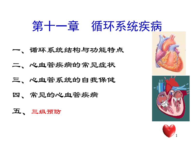 现代医学导论循环系统ppt课件_第1页