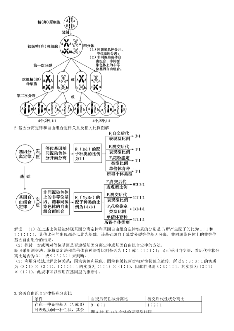 2019-2020年高三生物一轮复习 第十四讲 基因的自由组合定律学案.doc_第3页