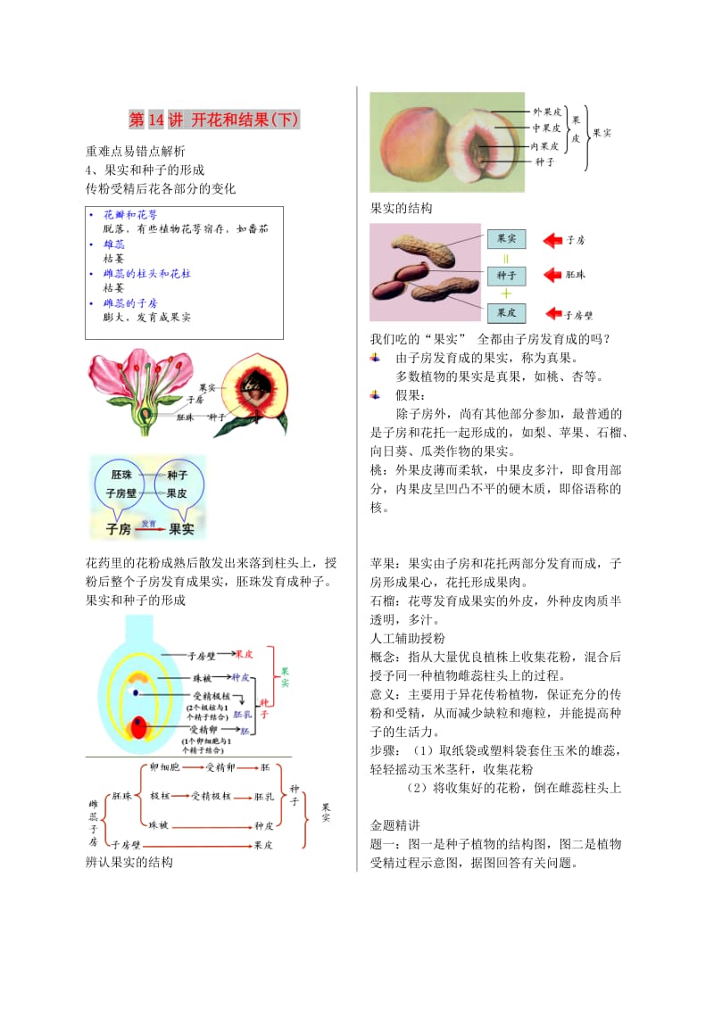 江苏省大丰市七年级生物上册 第14讲 开花和结果讲义 苏教版.doc_第1页