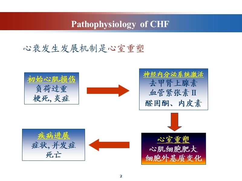 小儿慢性心功能不全的诊治现状及展望ppt课件_第2页