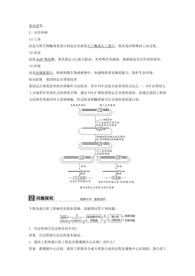 2019-2020年高中生物 第4章 基因工程 第4节 蛋白质工程的崛起同步备课教学案 北师大版选修3.doc_第3页