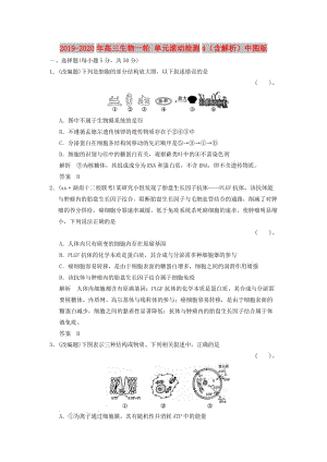 2019-2020年高三生物一輪 單元滾動檢測4（含解析）中圖版.doc