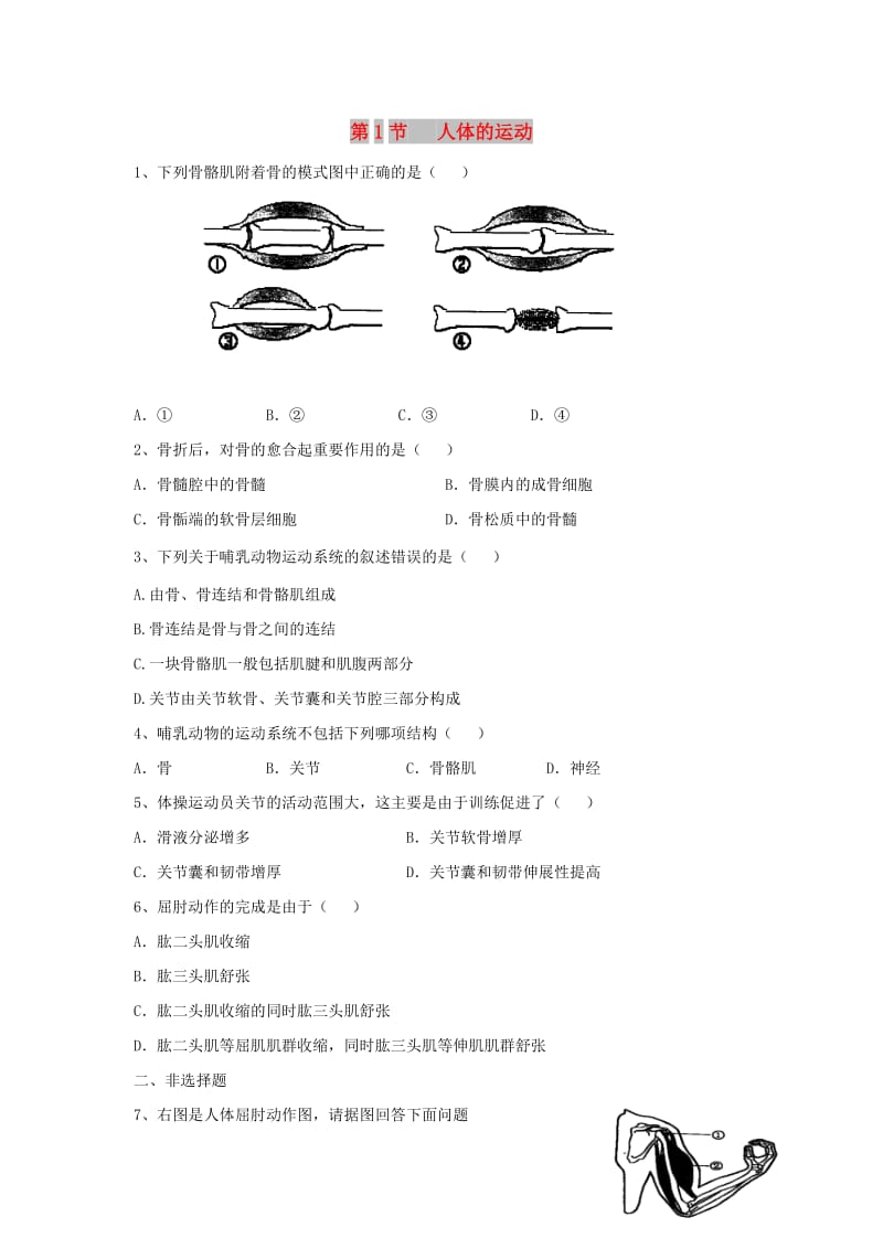 八年级生物上册 6.17.1《人体的运动》同步练习2 （新版）苏科版.doc_第1页