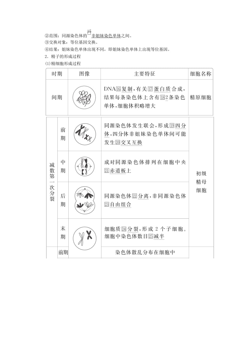 2020年高考生物一轮复习 第五单元 第14讲 减数分裂和受精作用讲义（含解析）（必修2）.doc_第3页