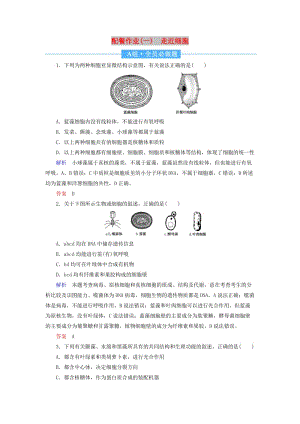 2020高考生物一輪復習 配餐作業(yè)1 走近細胞（含解析）.doc