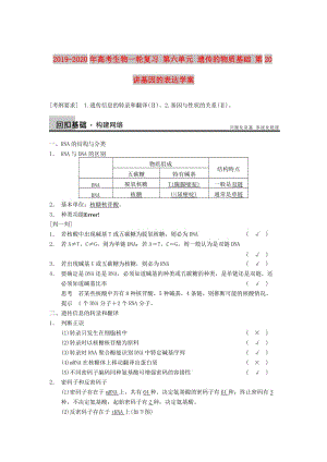 2019-2020年高考生物一輪復(fù)習(xí) 第六單元 遺傳的物質(zhì)基礎(chǔ) 第20講基因的表達(dá)學(xué)案.doc