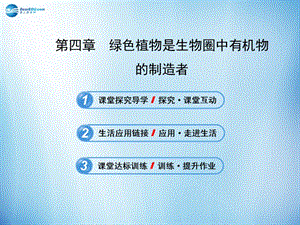 人教初中生物七上《第3單元 第4章 綠色植物是生物圈中有機(jī)物的制造者》PPT課件 (6)