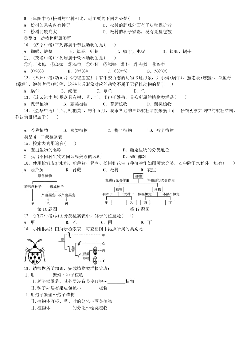 七年级科学上册 第2章 观察生物 小专题（一）动植物的特征及分类习题 （新版）浙教版.doc_第2页