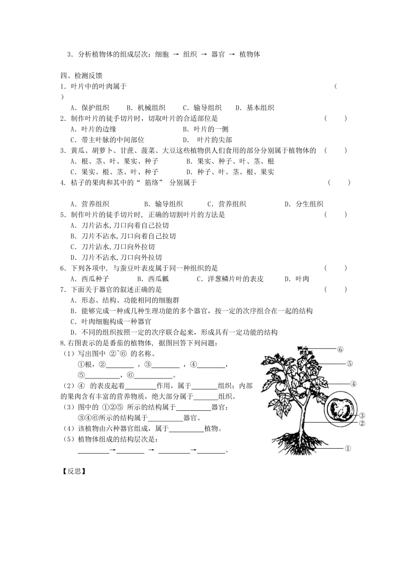 江苏省铜山区七年级生物下册 第9章 生物体有相似的结构层次学案2（新版）苏科版.doc_第2页