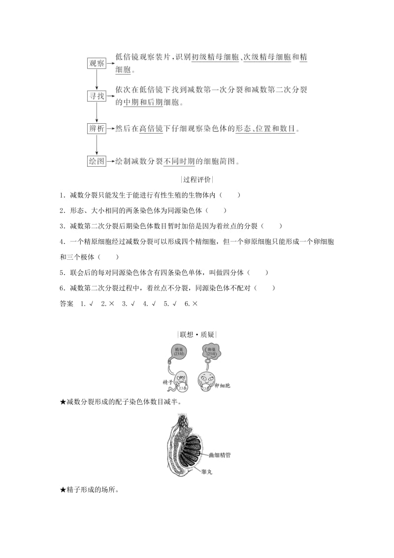 新课改地区2018-2019学年高中生物第2章基因和染色体的关系第1节第1课时减数分裂与精子和卵细胞的形成学案新人教版必修2 .doc_第3页