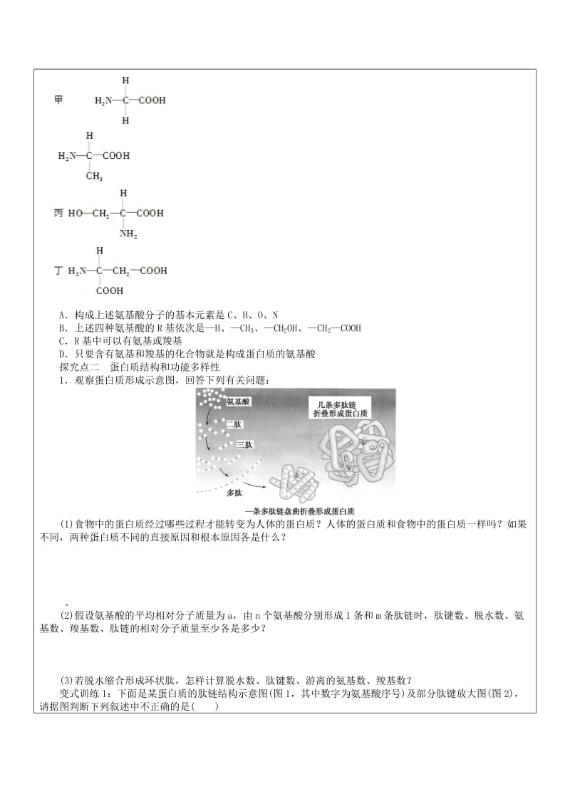 2019-2020年高三生物一轮复习 蛋白质学案.doc_第2页