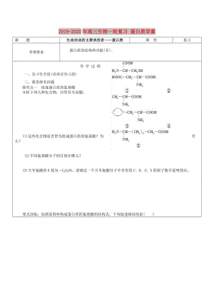 2019-2020年高三生物一輪復(fù)習(xí) 蛋白質(zhì)學(xué)案.doc